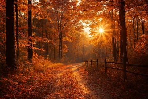 Как солнце продлевает жизнь: врачи рассказали, почему свет важнее спорта и витаминов вместе