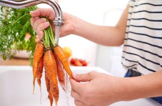 Нехватка влаги привела к искривлению моркови — агрономы