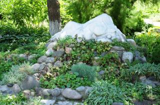 Уголок рая или свалка? Какие ошибки превращают альпийскую горку в груду камней