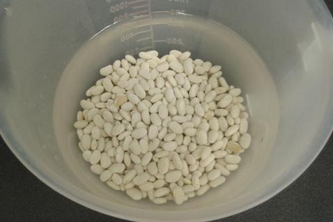 Индейка в салате остаётся сочной, а фасоль добавляет плотность и сытость — кулинары