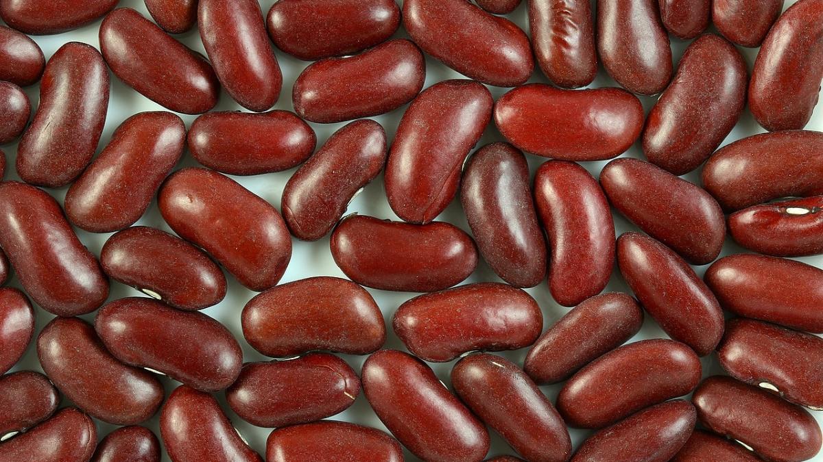 Красная фасоль