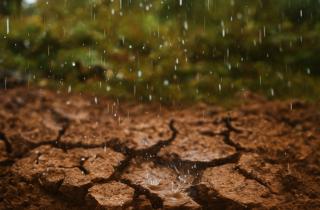 Он включал ливень так, как мы включаем душ: неразгаданный секрет самого известного продавца дождя в США