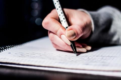 Минобрнауки предложило сделать историю обязательным экзаменом для гуманитарных направлений с 2026 года