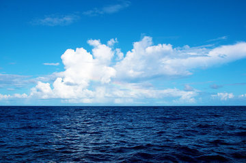 Саргассово море - самое таинственное море на планете