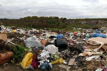 В Севастополе могут повысить штрафы за образование стихийных свалок