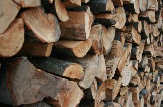 В Карелии за год снизили незаконную заготовку древесины в 16 раз — Минприроды