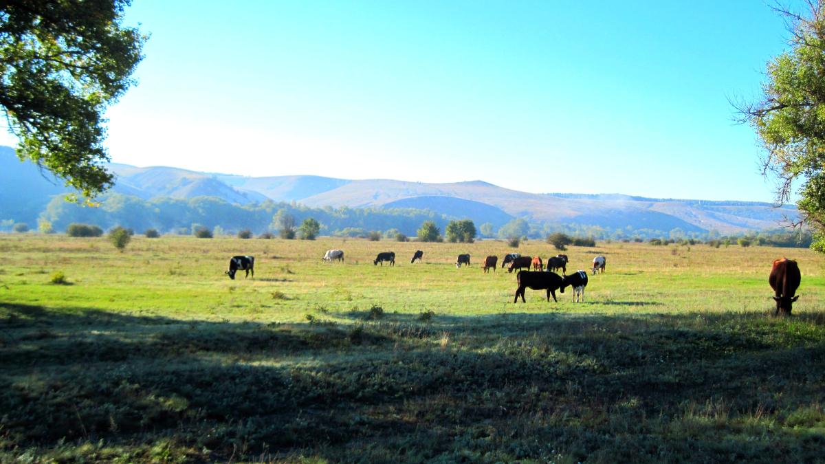 Вид на кучугуры