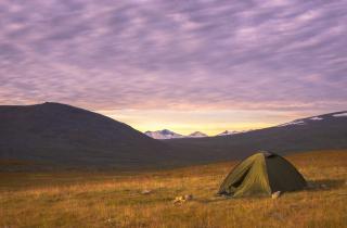 Доходы от туристического налога в Мурманской области достигли 41,9 млн рублей — Минтуризма