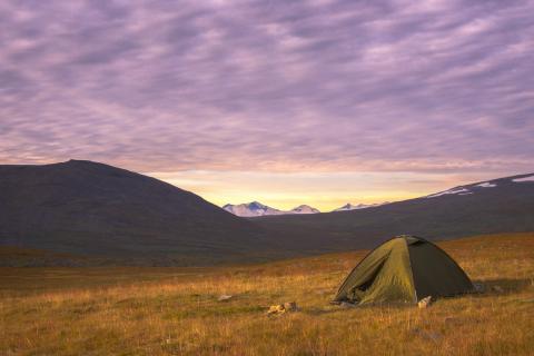 Доходы от туристического налога в Мурманской области достигли 41,9 млн рублей — Минтуризма