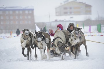 Что мы знаем о народах Севера: правда  и ложь