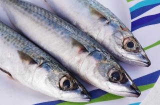 Рулет из скумбрии варят в кипящей воде 30 минут — кулинары