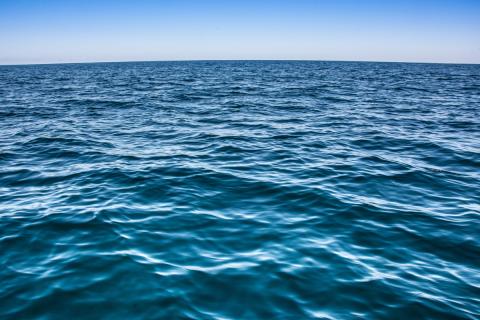 NOAA назвала вероятный источник загадочного звука Джулия 1999 года в Тихом океане