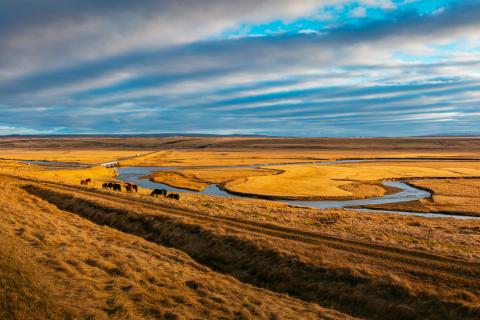 Тюменца оштрафовали за заросшие поля — Россельхознадзор