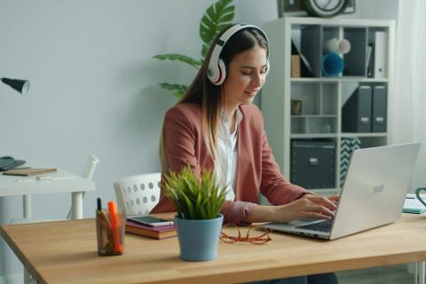 В медицине и педагогике рост нелегальных курсов - юристы