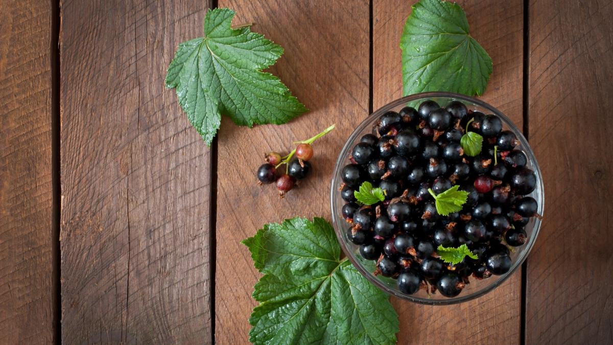 чёрная смородина