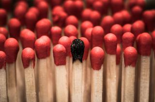 Дым от спичек подавил грибок на огуречных листьях — садоводы