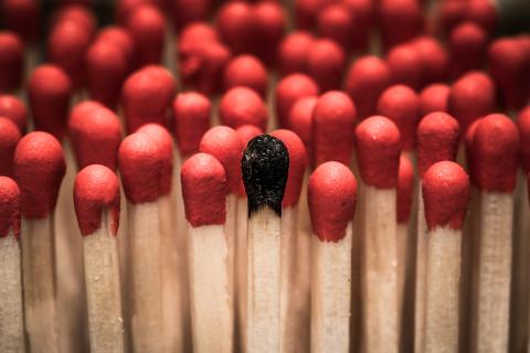 Дым от спичек подавил грибок на огуречных листьях — садоводы