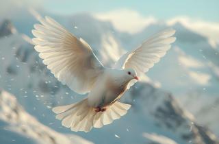 Советский йог, который оживлял голубей и ушёл в Шамбалу из карельских лесов: загадка Владимира Шуктомова