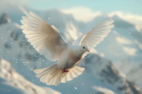 Советский йог, который оживлял голубей и ушёл в Шамбалу из карельских лесов: загадка Владимира Шуктомова Советский йог, который оживлял голубей и ушёл в Шамбалу из карельских лесов: загадка Владимира Шуктомова