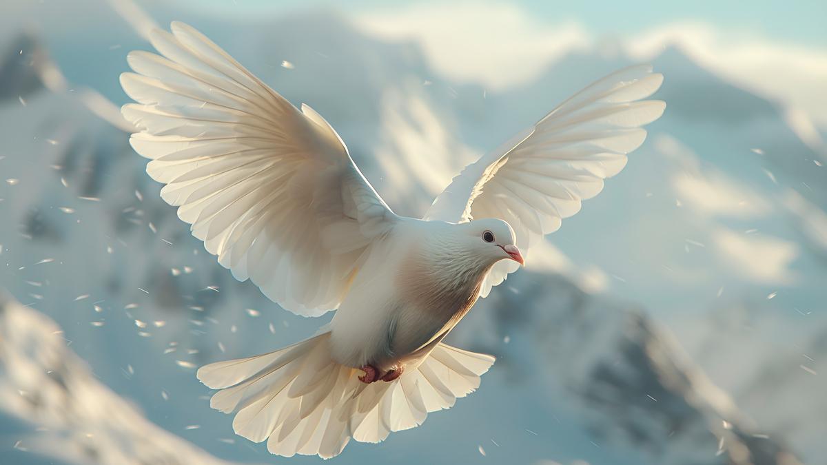 Белый голубь