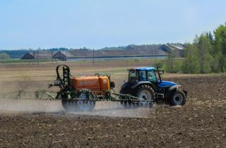 Горчица восстановила почву после картофеля за 30 дней — агрономы