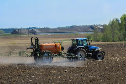 Горчица восстановила почву после картофеля за 30 дней — агрономы