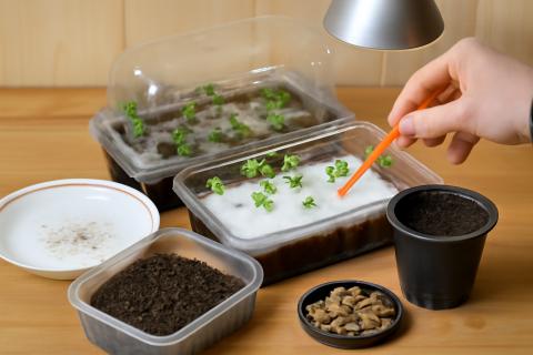 Грунт для земляники готовят из торфа, земли и песка — Учёный агроном