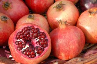 Гранаты и орехи обновляют иммунные клетки всего за 28 дней — эндокринолог Павлова