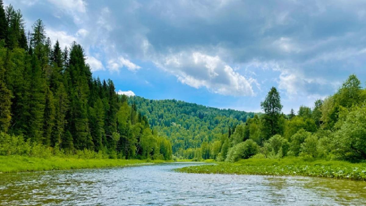 река река