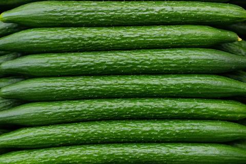 Учёные создали съедобную упаковку — The European Conservative