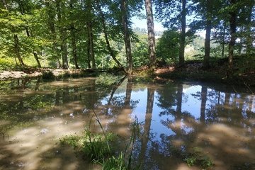 Краснокнижных животных в горах Сочи будет больше