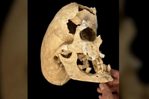 Little Foot может представлять новый вид гоминидов — The Guardian