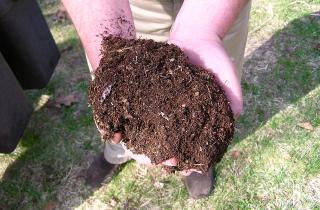 Торф повышает кислотность почвы — агрономы