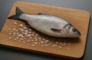 В Хабаровском крае рыбоперерабатывающее предприятие оштрафовали за нарушение квот