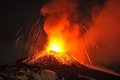 Массовое вымирание произошло из-за извержений в Сибири? Массовое вымирание произошло из-за извержений в Сибири?