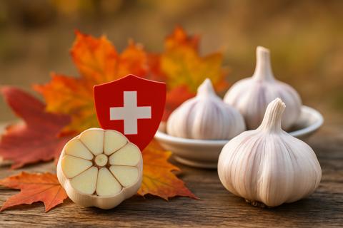 Ферментированный настой чеснока и лимона поддерживает иммунитет — Едим Дома