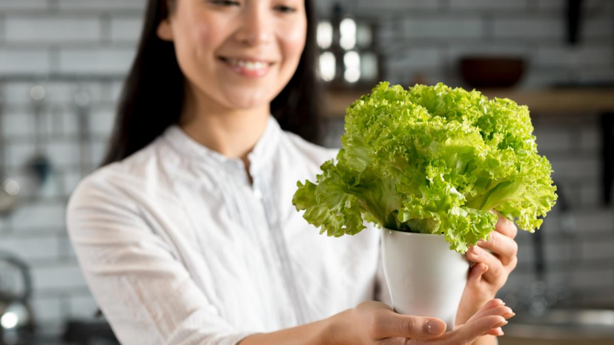 Девушка держит горшок с салатом