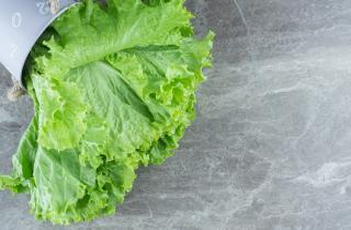 Айсберг сохраняет хруст и влагу, хотя уступает кейлу по витаминам — диетолог Кара Харбстрит