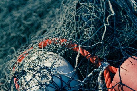 Росрыболовство: в устье Анадыря задержаны нарушители с 25 кг красной икры и кетой