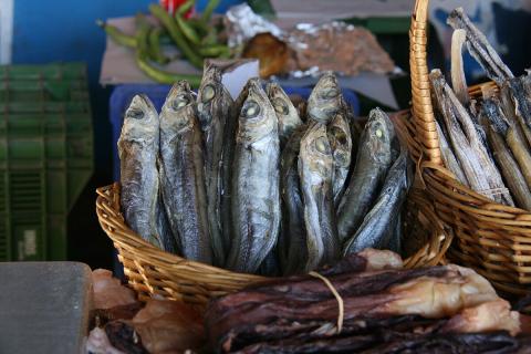 На Камчатке производство рыбы выросло на 30% благодаря новым сейнерам