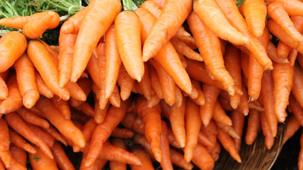 Свежая морковь
