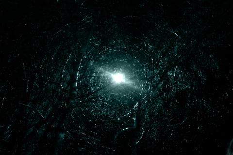 Оборотень может быть рядом с вами: реальные истории перевёртышей