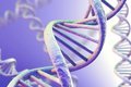 Генная инженерия скоро станет главным эволюционным рычагом Генная инженерия скоро станет главным эволюционным рычагом