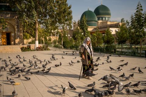 Пока одни ищут экзотику за океаном, россияне нашли её в соседней республике Пока одни ищут экзотику за океаном, россияне нашли её в соседней республике