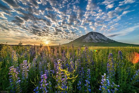 Радий Хабиров назвал любимые туристические места Башкирии — Прямая линия