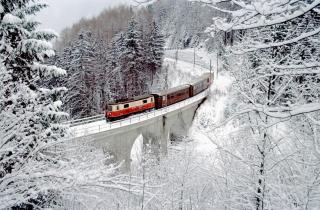 В Карелии обсудили безопасность железнодорожных пунктов пропуска — Минэкономразвития