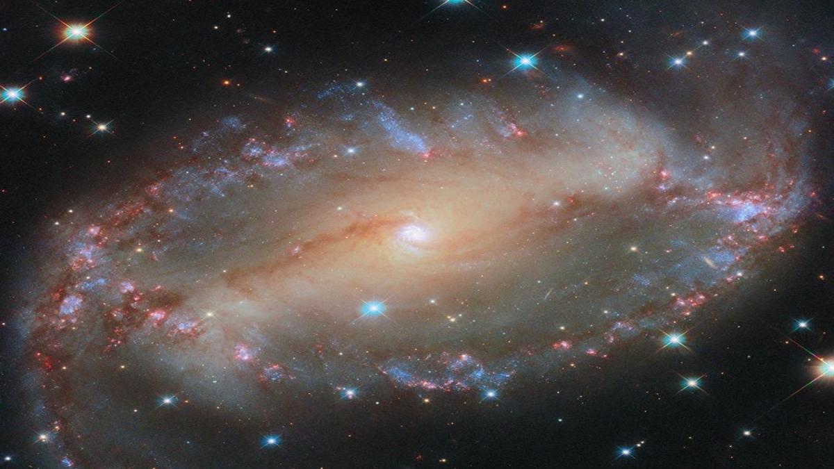 спиральная галактика NGC 2566