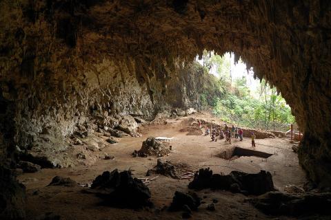 Следы Homo floresiensis исчезли после длительного периода засухи — учёные