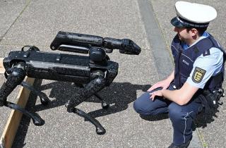 Робот провёл беседу на конференции — Hanson Robotics