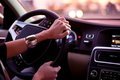 Проверено на крысах: вождение способствует снижению уровня стресса Проверено на крысах: вождение способствует снижению уровня стресса